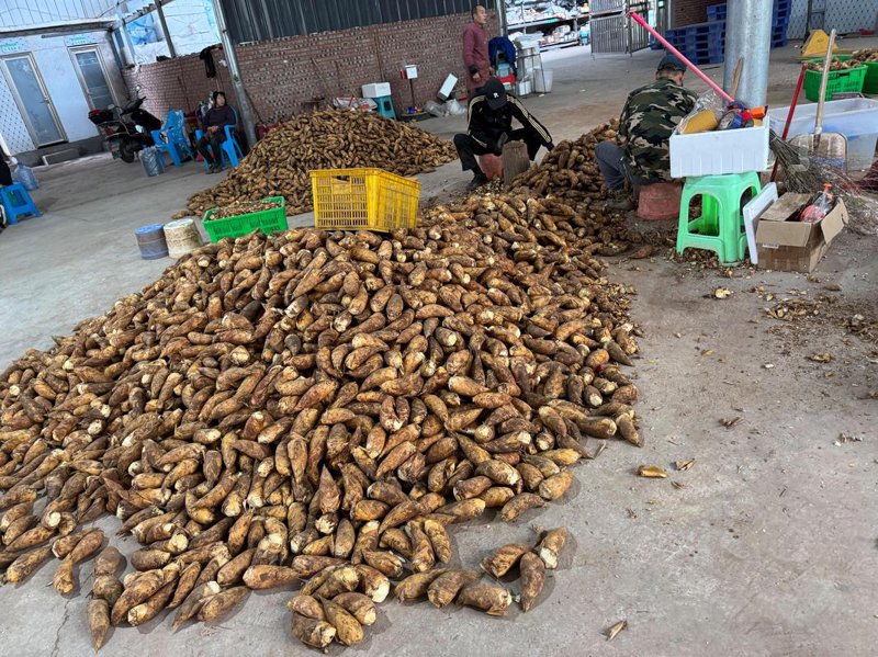 寻找新鲜的味蕾之旅——赤山鲜食品引领行业潮流